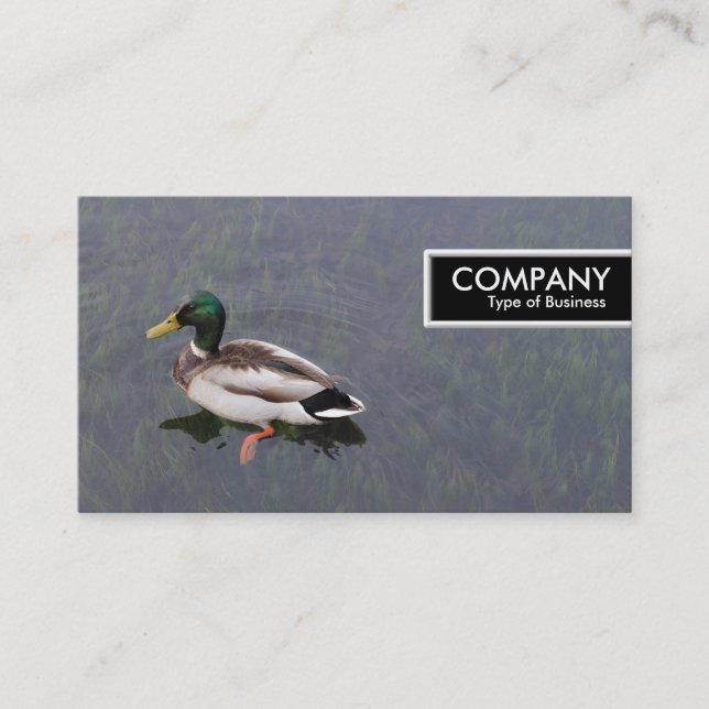Edge Tag - Mallard Duck (Vorderseite)