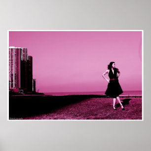 Edgewater beach, ill 2006 poster