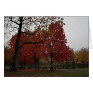 edgewood Park im Fall