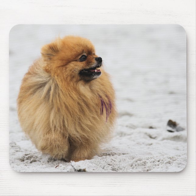 Edgrrrr #3 - Spitz Mousepad (Vorne)