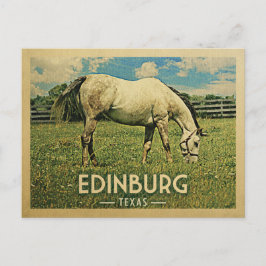 Edinburg Texas Horse Farm - Vintage Travel Postkarte