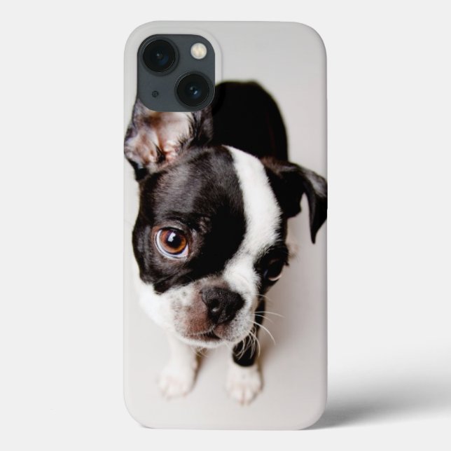 Edison Boston Terrier puppy. Case-Mate iPhone Hülle (Rückseite)