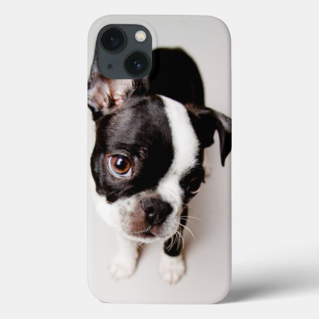Edison Boston Terrier Welpe. Case-Mate iPhone Hülle (Rückseite)