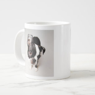 Edison Boston Terrier Welpe. Jumbo-Tasse