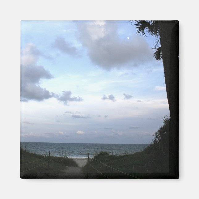 Edisto Island SC Magnet (Vorne)
