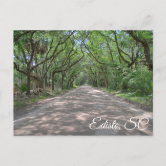 Edisto Postcard Postkarte