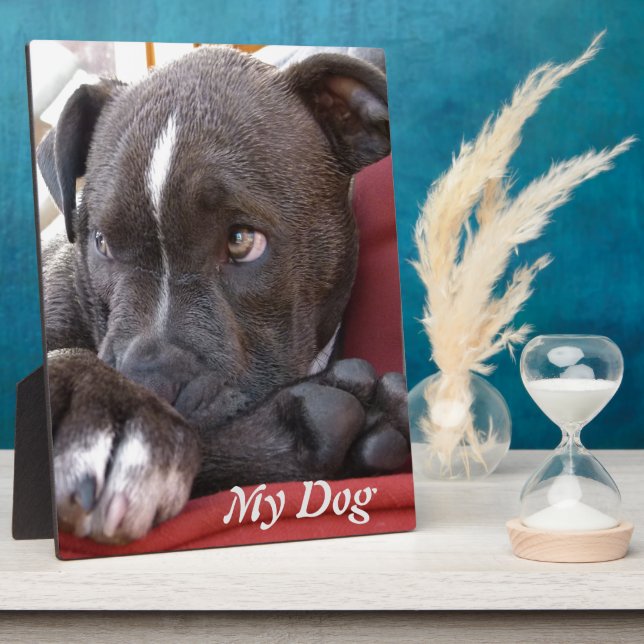 Editable Baby Pitbull Puppies Fotoplatte (Seite)