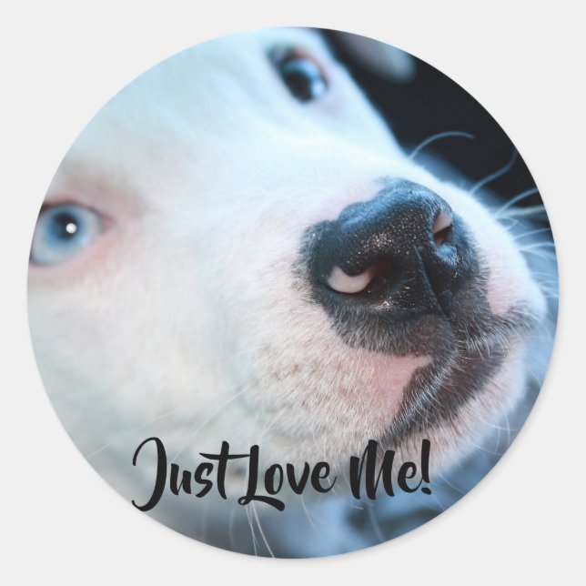Editable Baby Pitbull White Puppy Runder Aufkleber (Vorderseite)