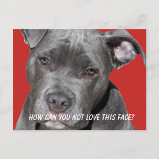 Editable Black Pitbull Postkarte