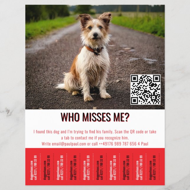 Editable Found Dog Poster With QR Code & Tear‑Off  Flyer (Vorne)