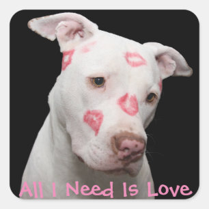 Editable Pitbull Liebhaber Quadratischer Aufkleber