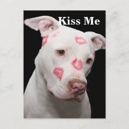 Editable Pitbull Lover Postkarte