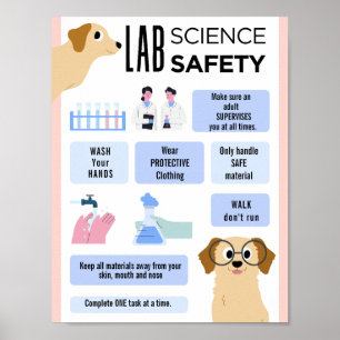 EditableScience LABRADOR Safety School Klassenpost Poster
