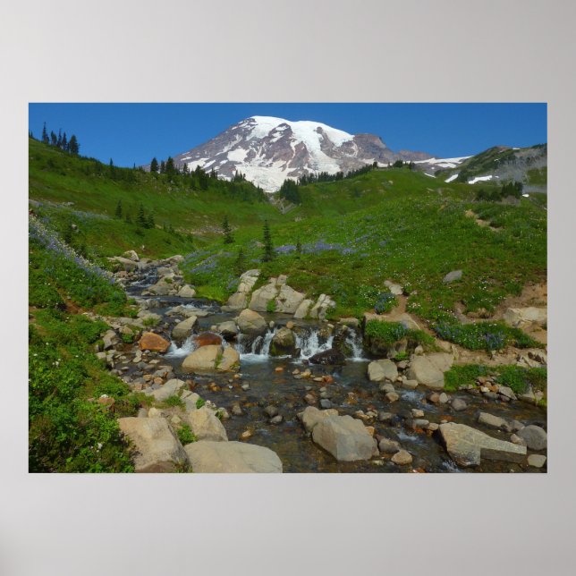 Edith Creek auf dem Monte Rainier Poster (Vorne)
