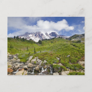 Edith Creek und Wiesen mit Wildblumen bei Paradise Postkarte