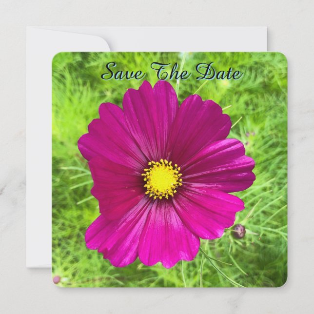 Édition Esprit : Cosmos Save The Date (Devant)