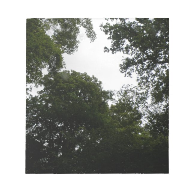 Editor für Creepy Forest Notizblock (Vorderseite)