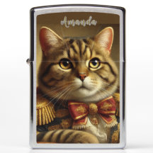 Edle gut gekleidete Katze