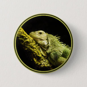 Edler Leguan-Knopf Button
