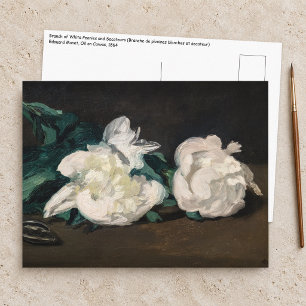 Edouard Manet - Zweig weißer Pfingstrosen, Gartens Postkarte