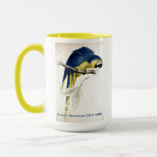 Eduard-Lear-Vogelsammlung Blauer und gelber Glattb Tasse