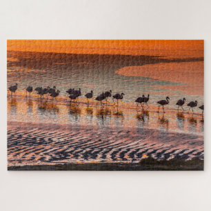 Eduardo Abaroa Andean Fauna National Reserve