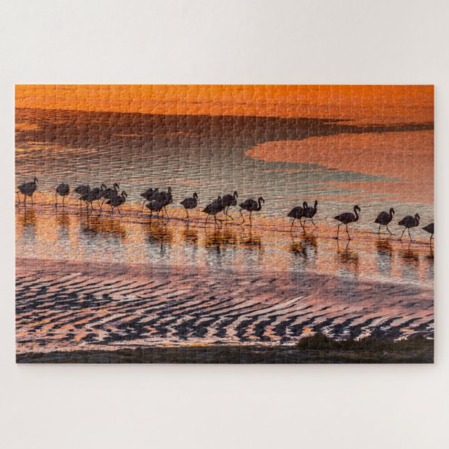 Eduardo Abaroa Andean Fauna National Reserve (Horizontal)