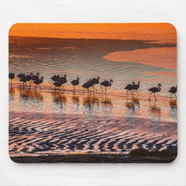 Eduardo Abaroa Andean Fauna National Reserve Mousepad (Vorne)