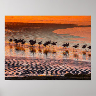 Eduardo Abaroa Andean Fauna National Reserve Poster