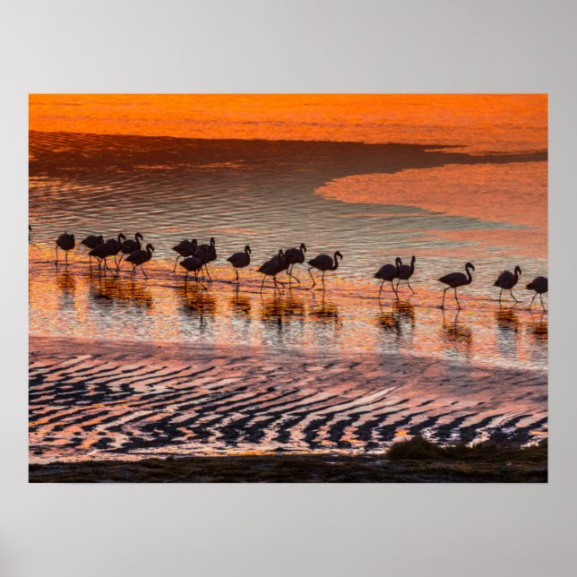 Eduardo Abaroa Andean Fauna National Reserve Poster (Vorne)