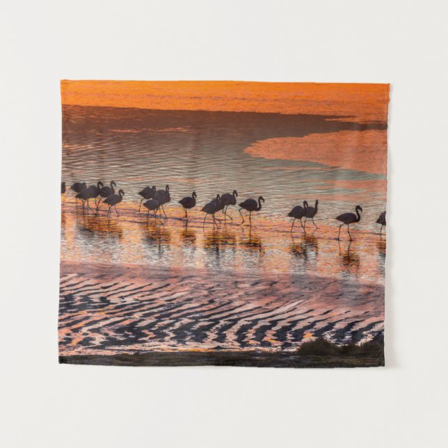Eduardo Abaroa Andean Fauna National Reserve Wandteppich (Vorderseite (Horizontal))