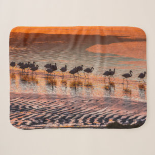 Eduardo-Abaroa-Anden-Fauna-Nationalreservat Sherpadecke
