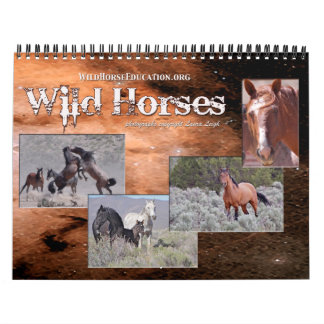 Éducation de cheval sauvage… un calendrier