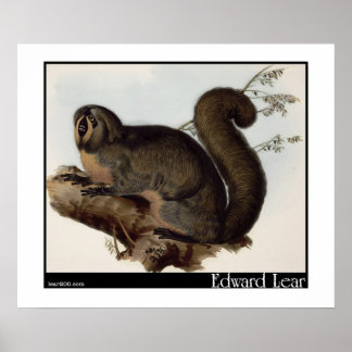 Edward Lears Whiskered Yarke Poster