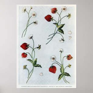 Edwardian Strawberries Poster