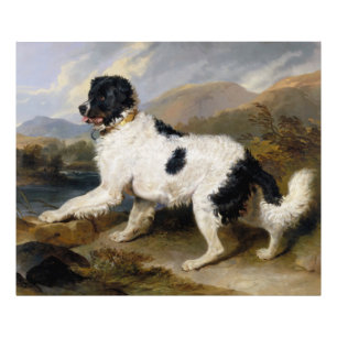 Edwin Henry Landseer   Löwe - Ein Neufundland - H Fotodruck