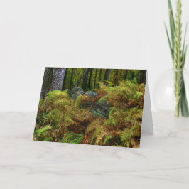 ee cummings Gebet - Ferns und Stones Dankeskarte