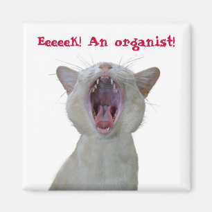 Eeek! Ein Organist! Magnet