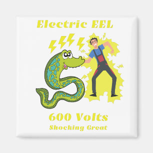 EEL MAGNET