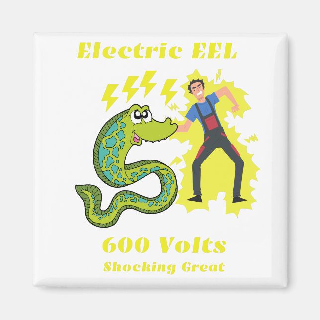 EEL MAGNET (Vorne)