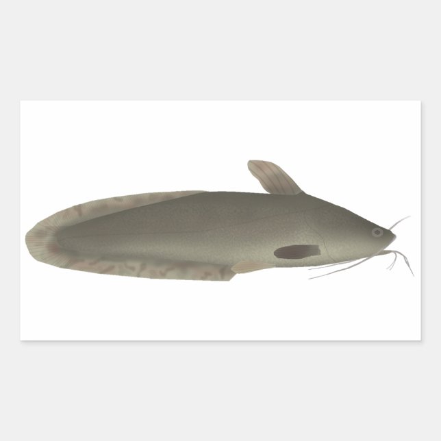 Eeltail Catfish Rechteckiger Aufkleber (Vorderseite)