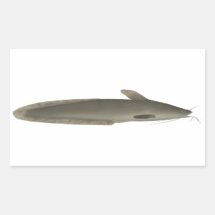 Eeltail Catfish Rechteckiger Aufkleber