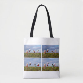 Een fubby Stripverhaal over de liefde. Tasche