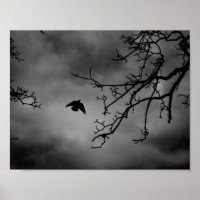 Eerie Bird im Flug