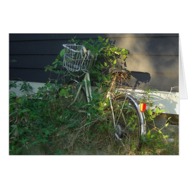 Efeu bedeckte Fahrrad (Vorderseite (Horizontal))