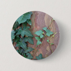 Efeu Button