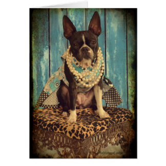 Efeu das Boston Terrier