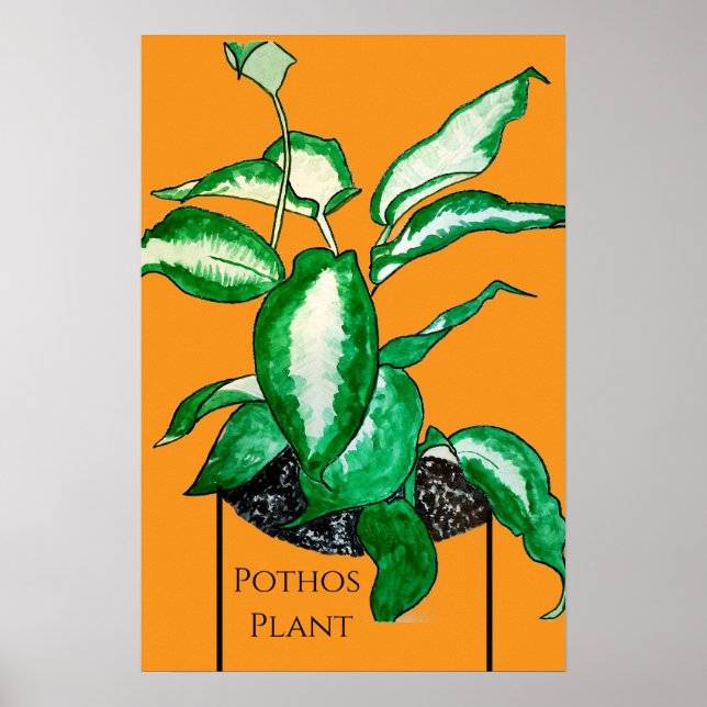Efeu-Plant  Poster (Vorne)