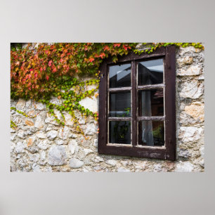 Efeu und Fenster, Kroatien Poster