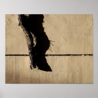 Efeu und Schatten